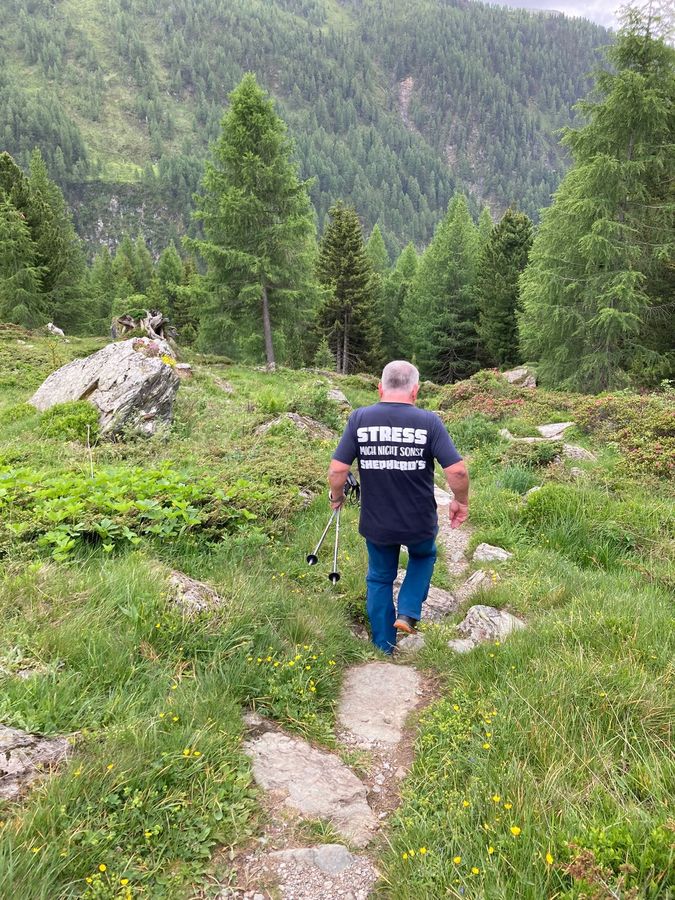 Enzo beim Wandern in den Bergen