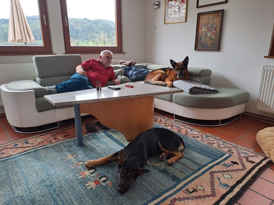 Mittagsschlaf mit den Hunden